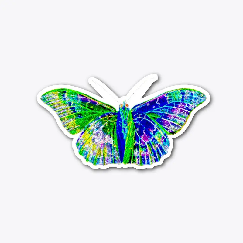 Neon colored butterfly