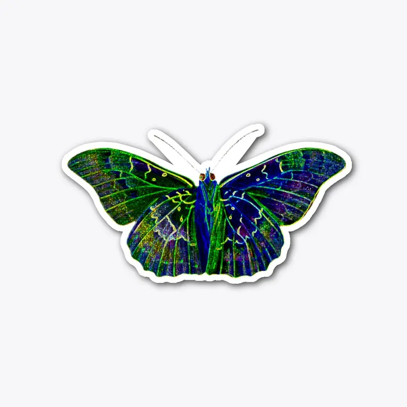 Bright neon colored butterfly